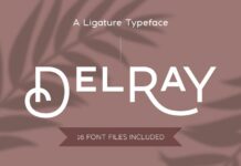 Delray Font Poster 1
