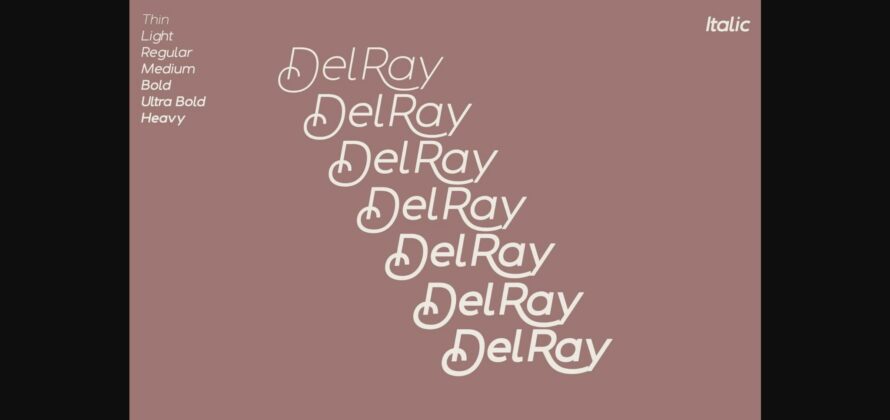 Delray Font Poster 9