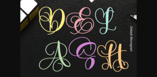 Delash Font Poster 1