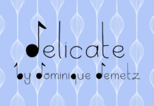 Delicate Font Poster 1