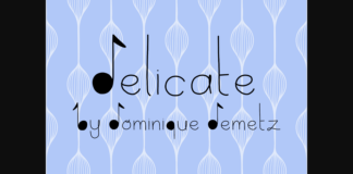 Delicate Font Poster 1