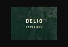 Delio Font Poster 1