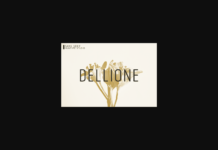 Dellione Font Poster 1