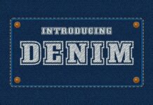 Denim Font Poster 1