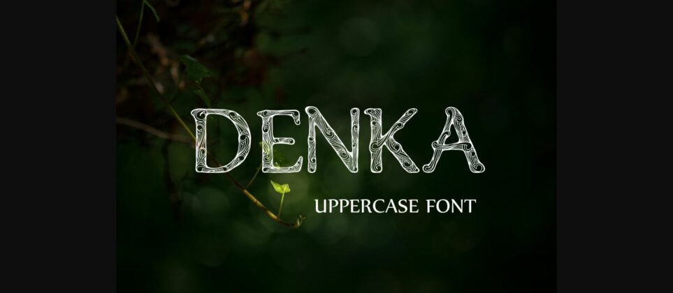 Denka Font Poster 5