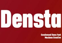Densta Font Poster 1