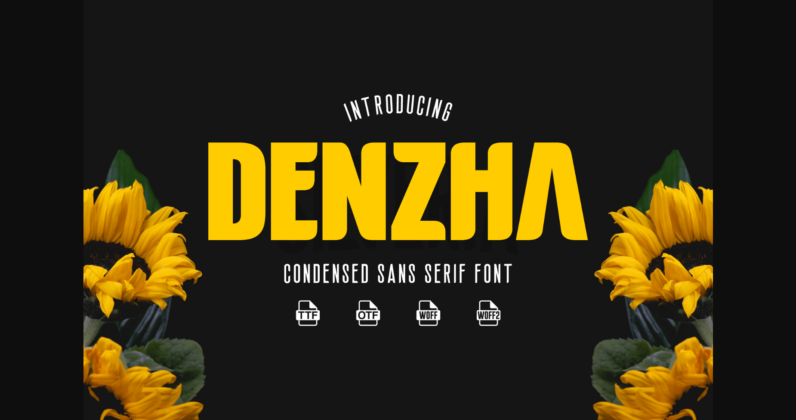 Denzha Font Poster 3