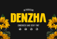 Denzha Font Poster 1