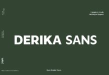 Derika Sans Font Poster 1