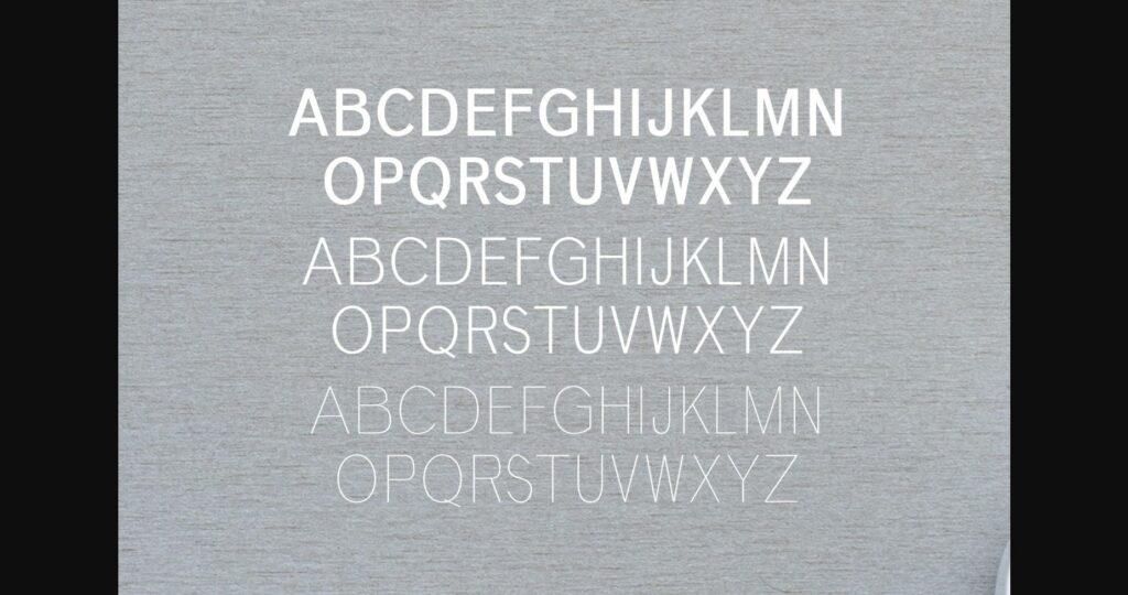 Deron Family Font Poster 4