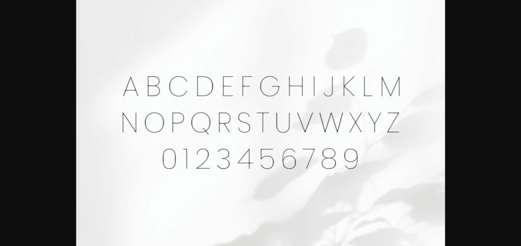 Desiras Font Poster 4