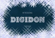 Digidon Font Poster 1