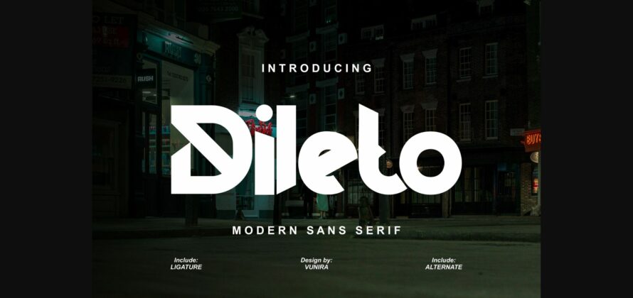 Dileto Font Poster 3