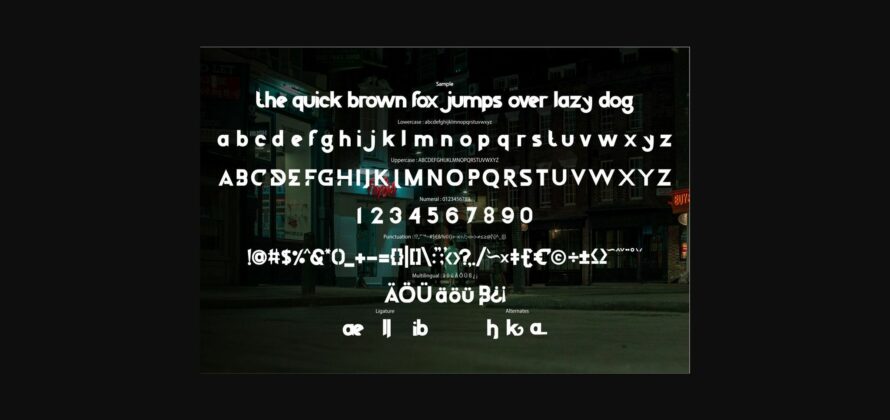 Dileto Font Poster 8