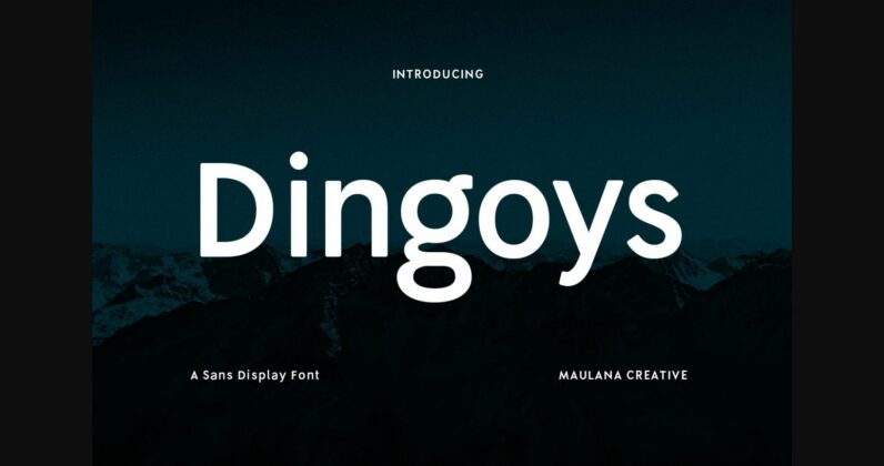 Dingoys Font Poster 3