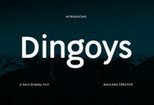 Dingoys Font Poster 1