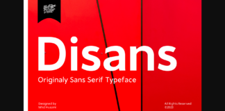 Disans Font Poster 1