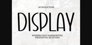 Display Font Poster 1