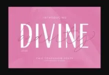 Divine Beauty Font Poster 1