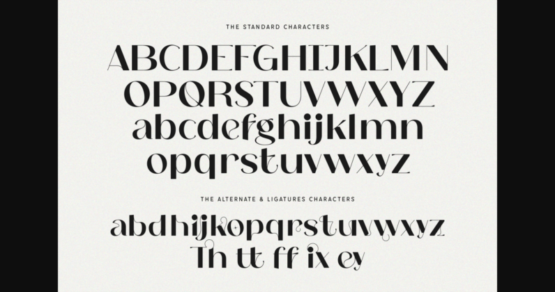 Dixey Font Poster 11