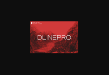 Dlinepro Font Poster 1