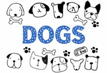 Dog Font Font Poster 1