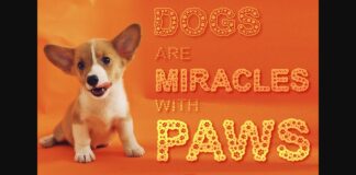 Dog Paws Font Poster 1