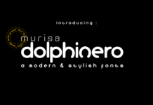 Dolphinero Font Poster 1