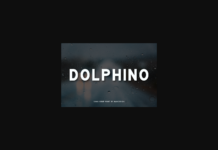 Dolphino Font Poster 1