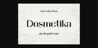 Domestika Font Poster 1