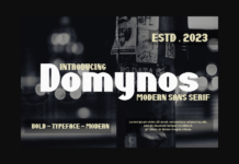 Domynos Font Poster 1