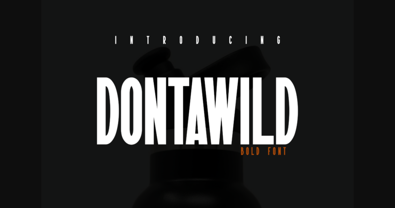Dontawild Font Poster 3