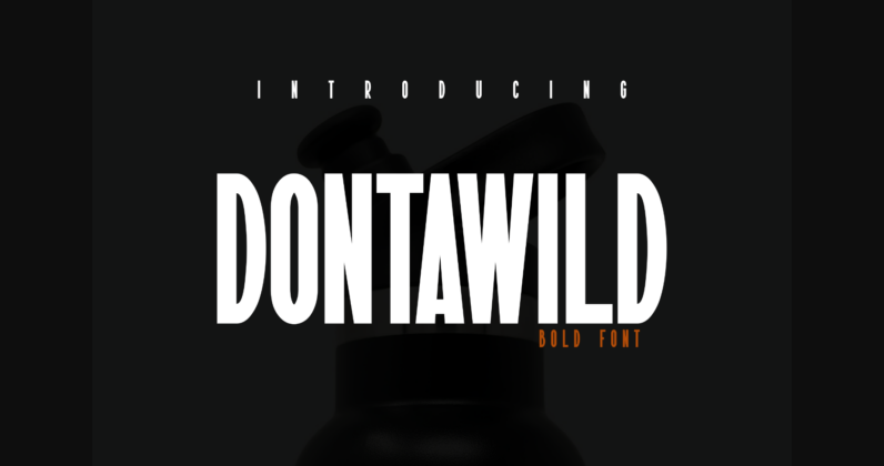 Dontawild Font Poster 1