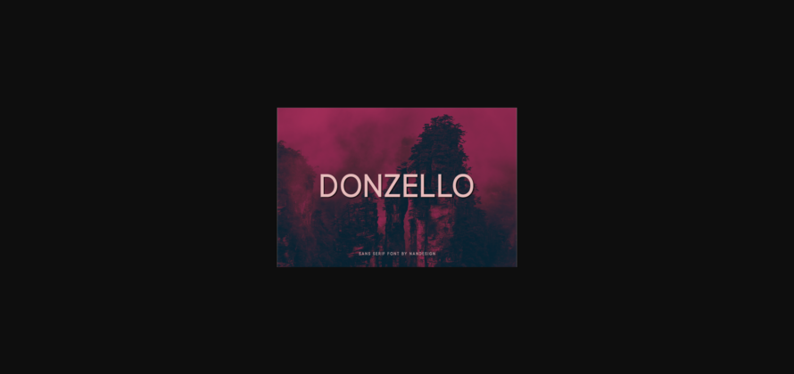Donzello Font Poster 3