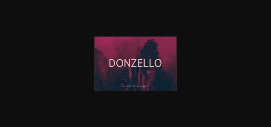 Donzello Font Poster 1