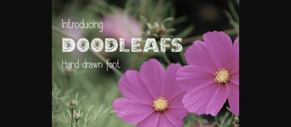 Doodleafs Font Poster 2