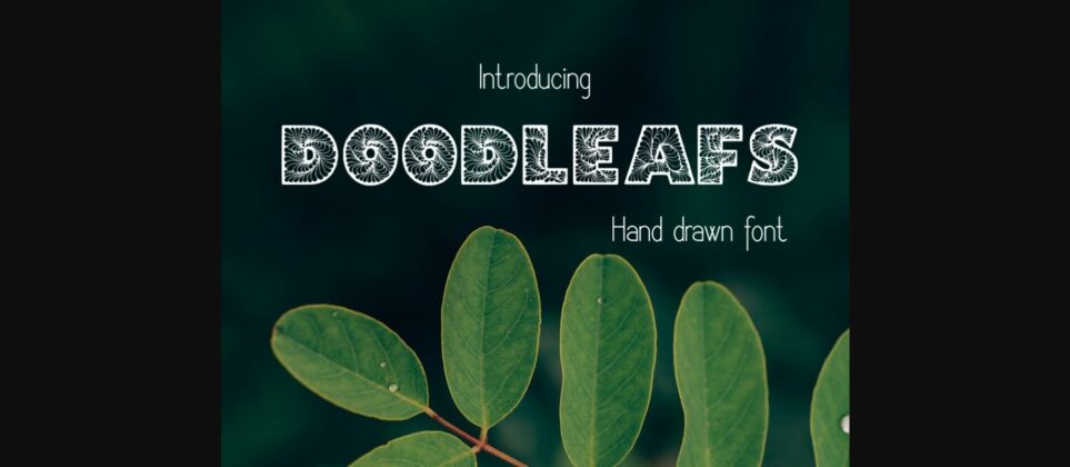 Doodleafs Font Poster 5