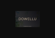 Dowellu Font Poster 1