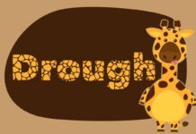 Drought Font Poster 1