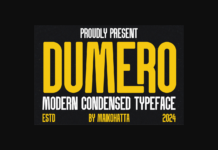 Dumero Font Poster 1
