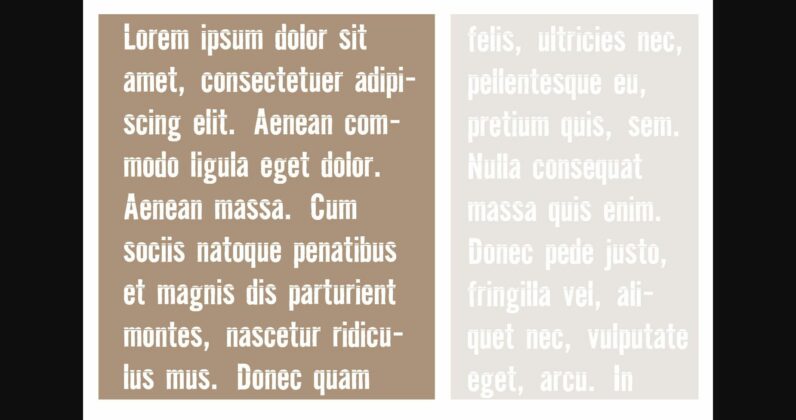 Duplicity Font Poster 6