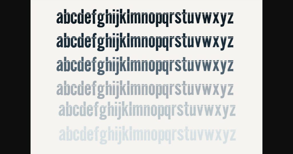Duplicity Font Poster 7