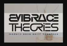 Embrace Theories Font Poster 1