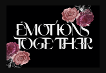 Emotions Together Font Poster 1