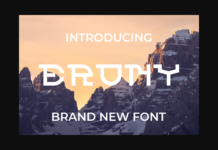 Erony Font Poster 1