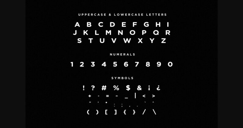 Eagle Sight Font Poster 4