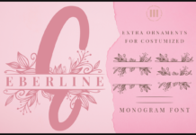 Eberline Monogram Font Poster 1