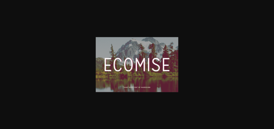 Ecomise Font Poster 1