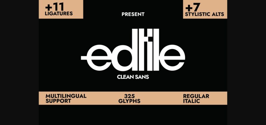 Edtile Font Poster 3