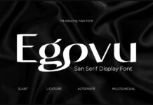 Egovu Font Poster 1